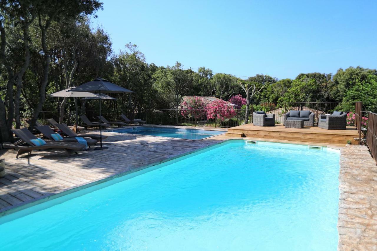 Residence Sophia โบนิฟาซิโอ ภายนอก รูปภาพ